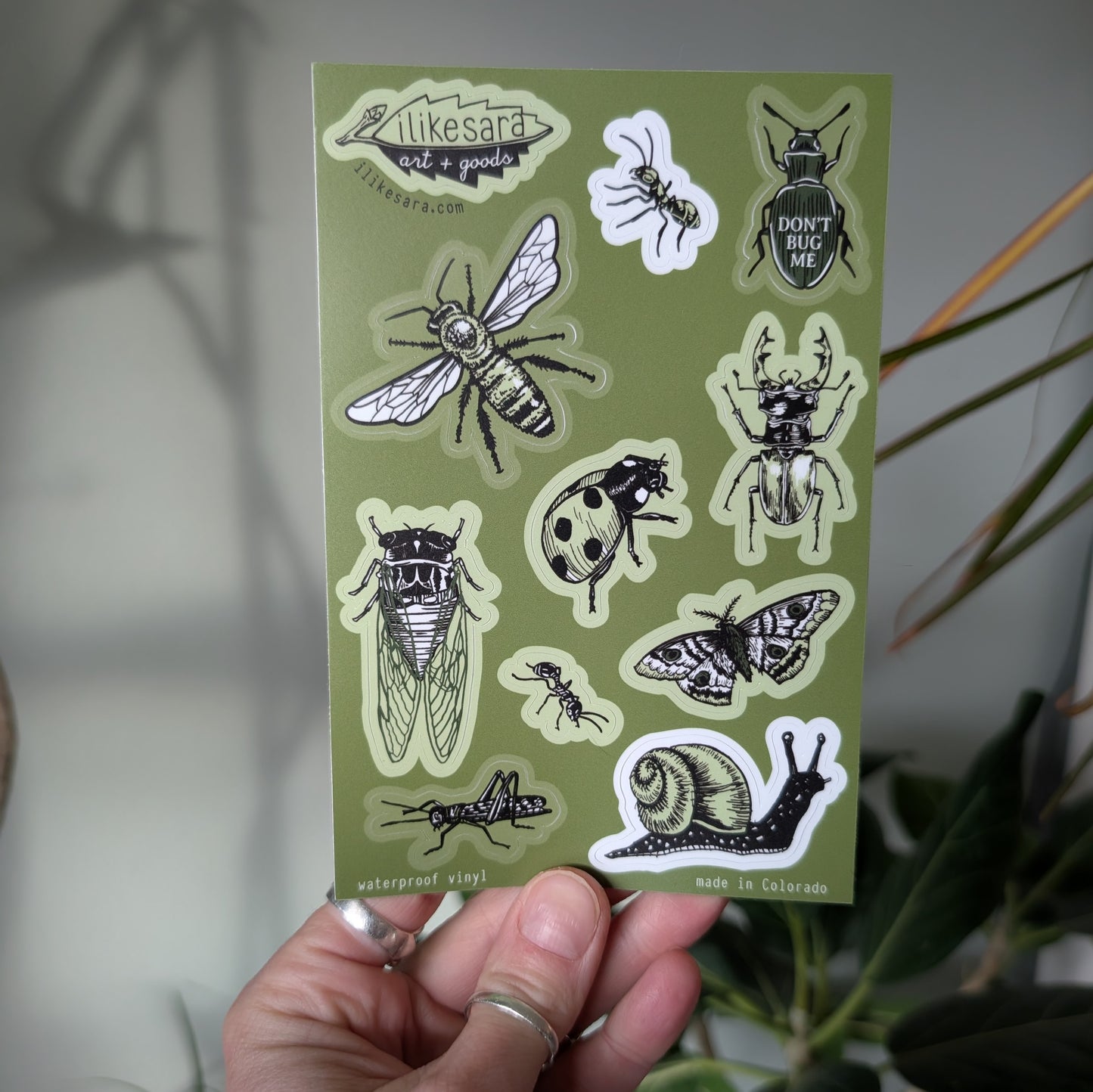 sticker sheet | insecta