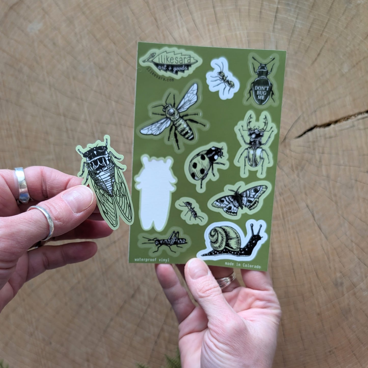 sticker sheet | insecta