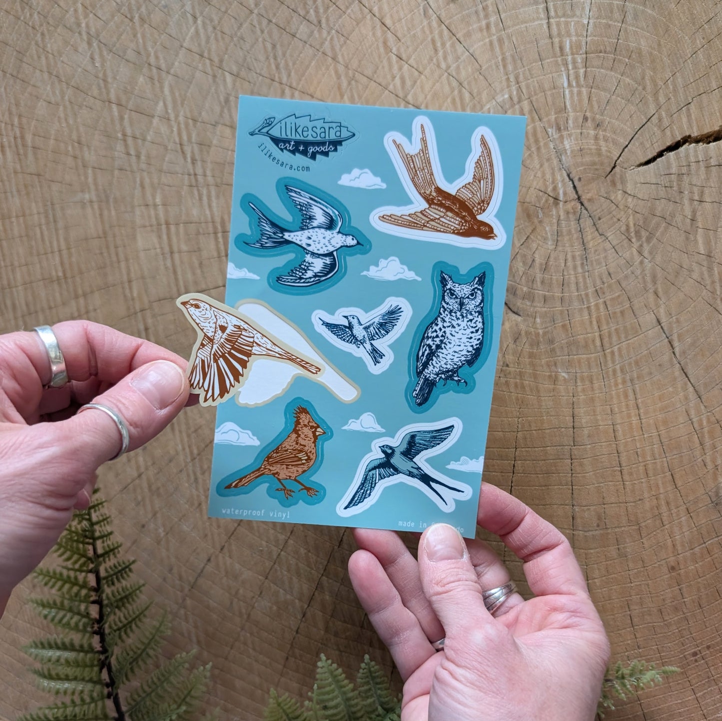 sticker sheet | birds
