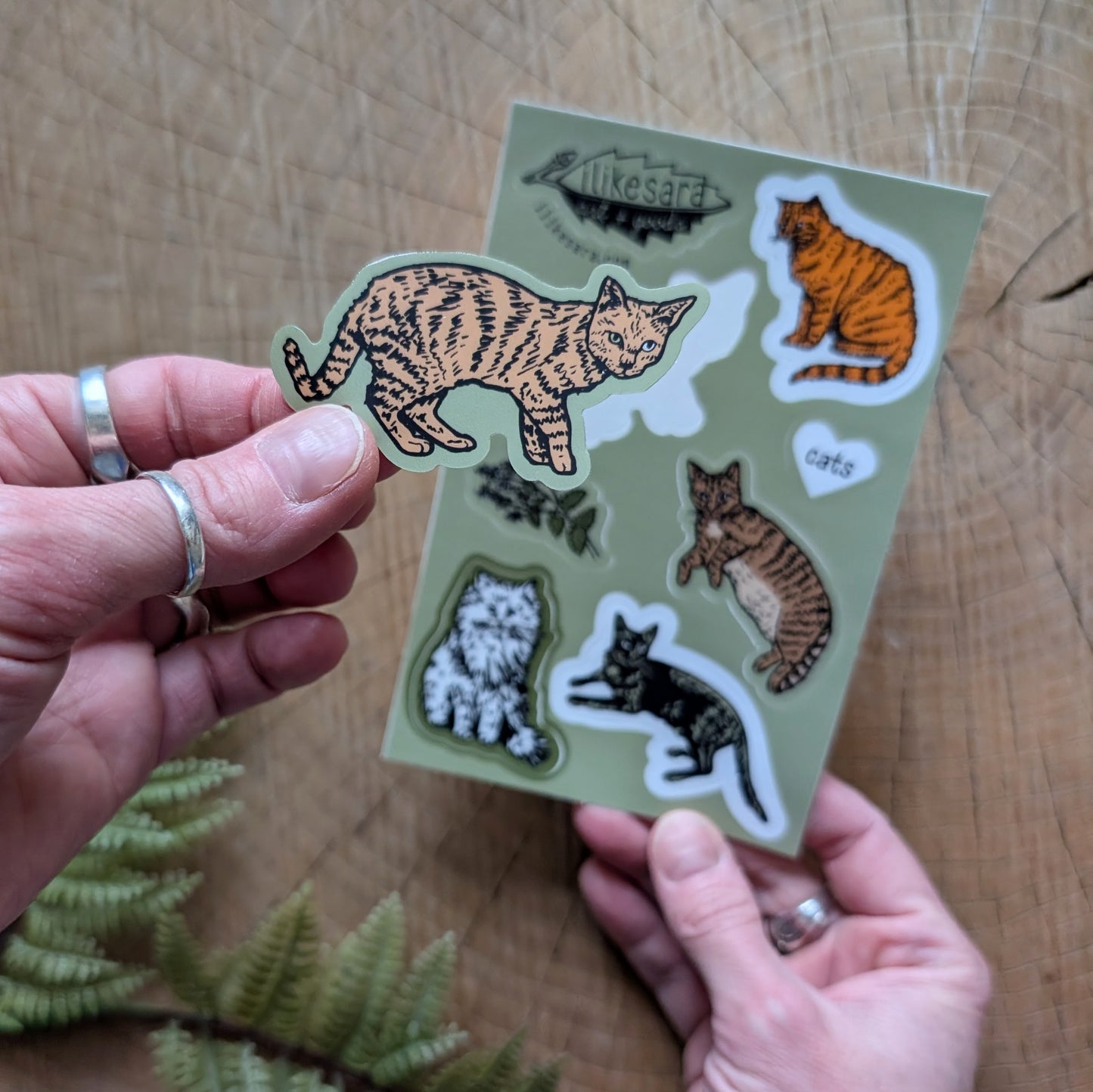 sticker sheet | cats  - waterproof uv-resistant vinyl kitty stickers