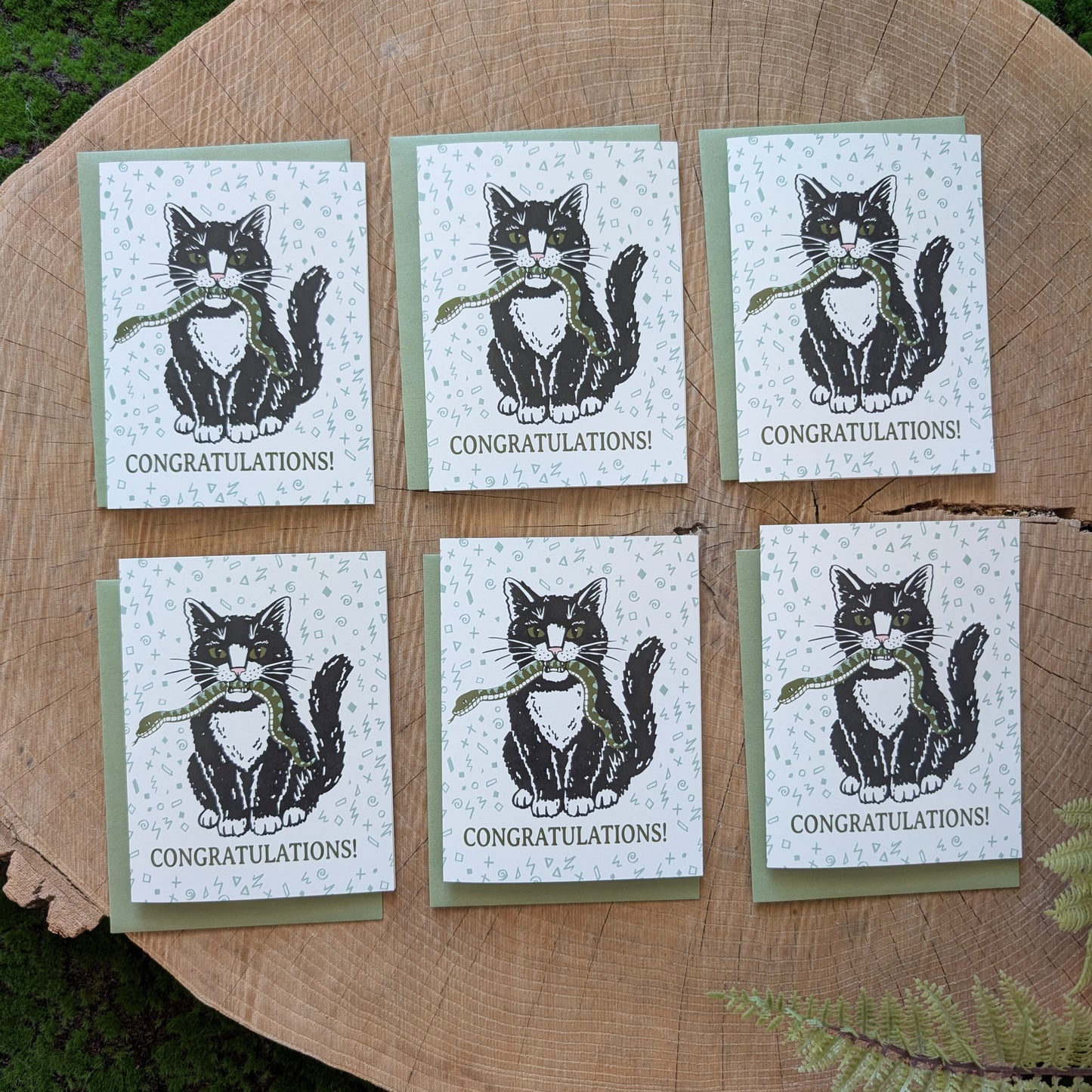 greeting card | congratulations cat with snake - graduation, new baby, new job, engagement