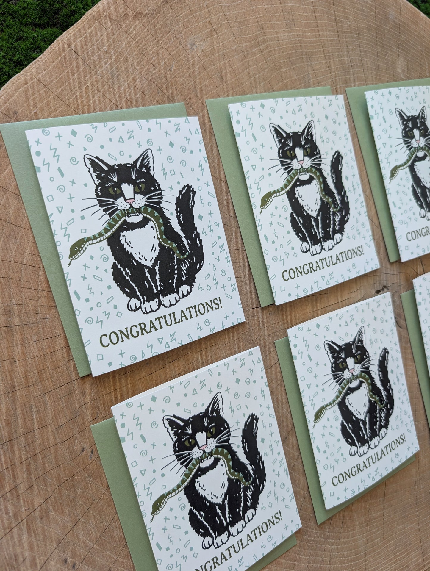 greeting card | congratulations cat with snake - graduation, new baby, new job, engagement