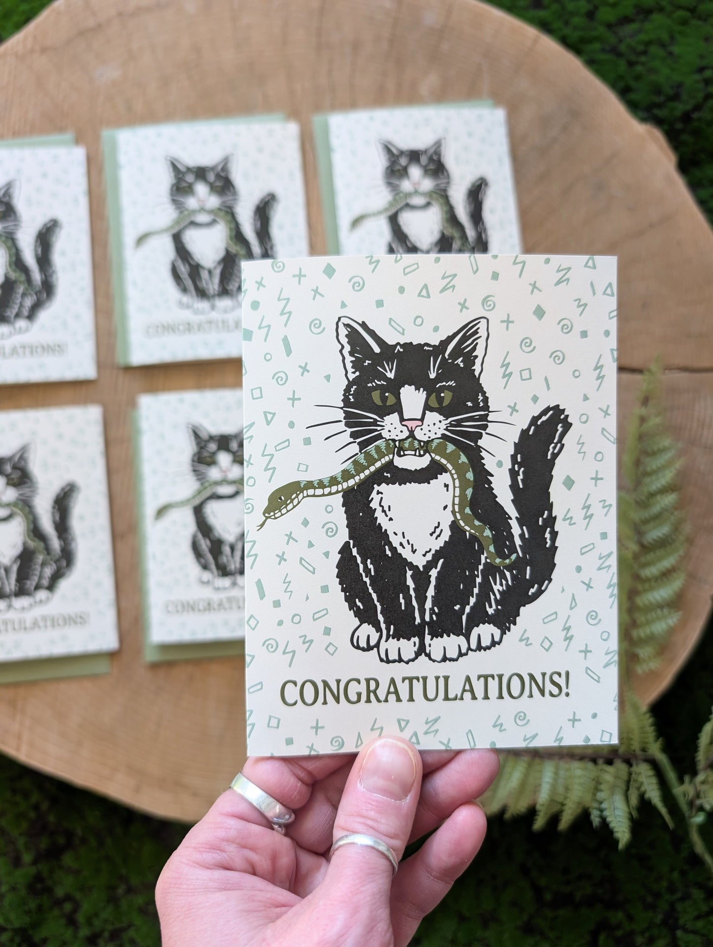 greeting card | congratulations cat with snake - graduation, new baby, new job, engagement