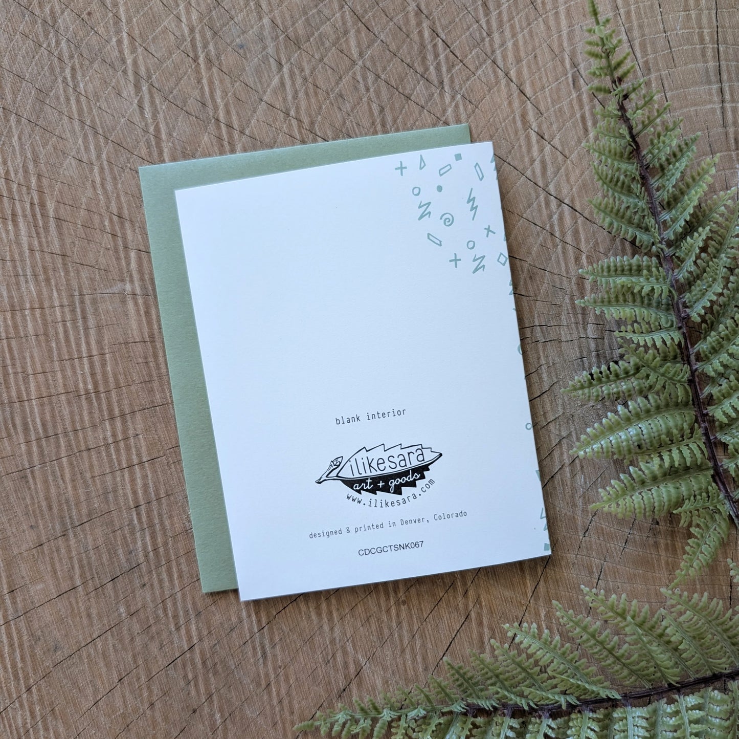 greeting card | congratulations cat with snake - graduation, new baby, new job, engagement