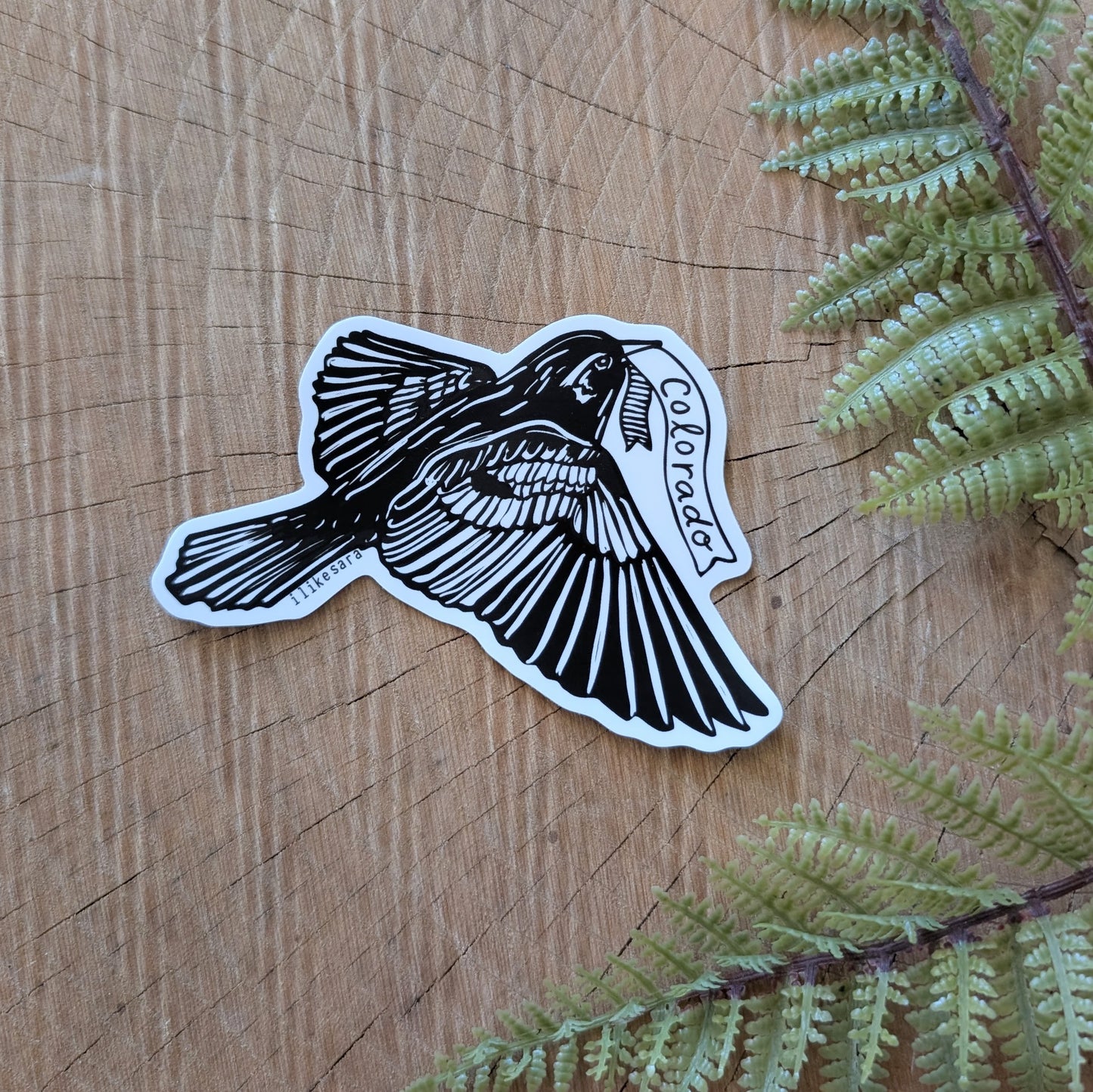 sticker | Colorado lark bunting - waterproof uv-resistant vinyl state bird decal