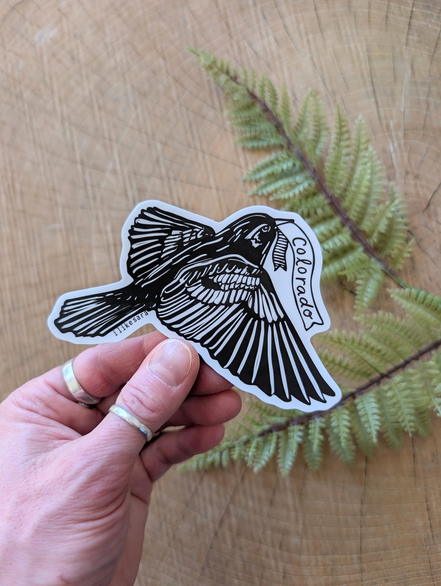 sticker | Colorado lark bunting - waterproof uv-resistant vinyl state bird decal