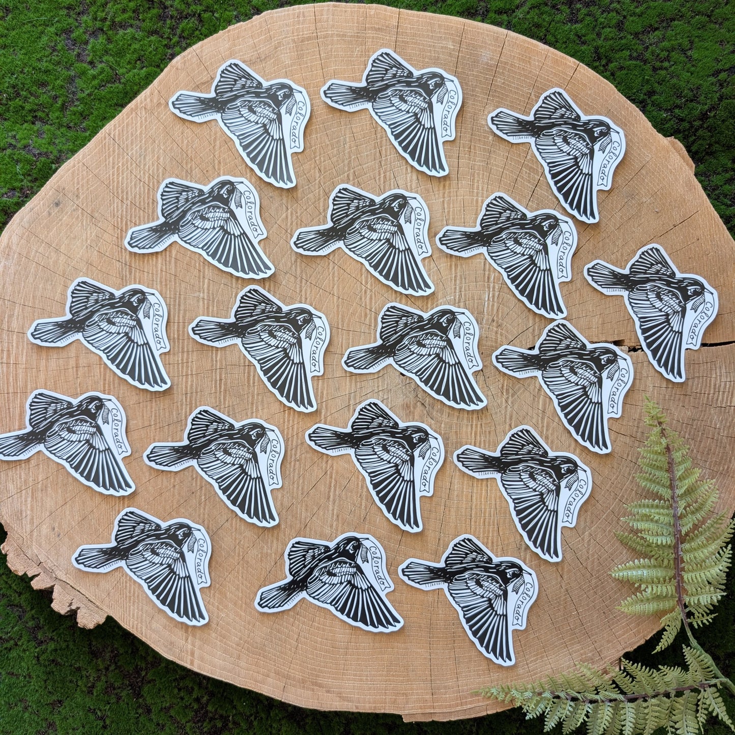 sticker | Colorado lark bunting - waterproof uv-resistant vinyl state bird decal
