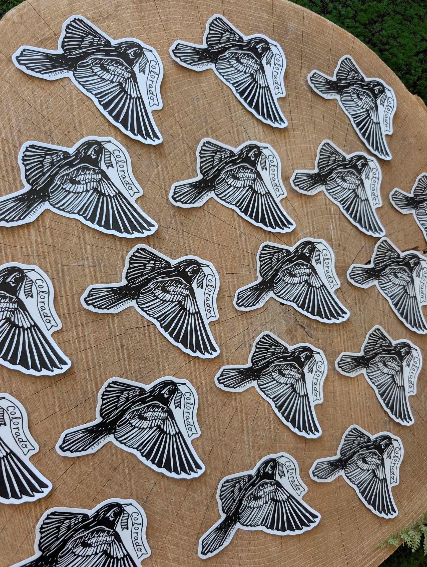 sticker | Colorado lark bunting - waterproof uv-resistant vinyl state bird decal