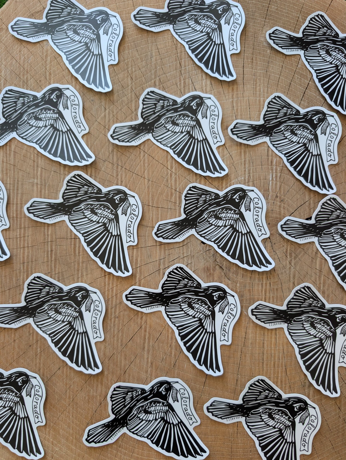sticker | Colorado lark bunting - waterproof uv-resistant vinyl state bird decal