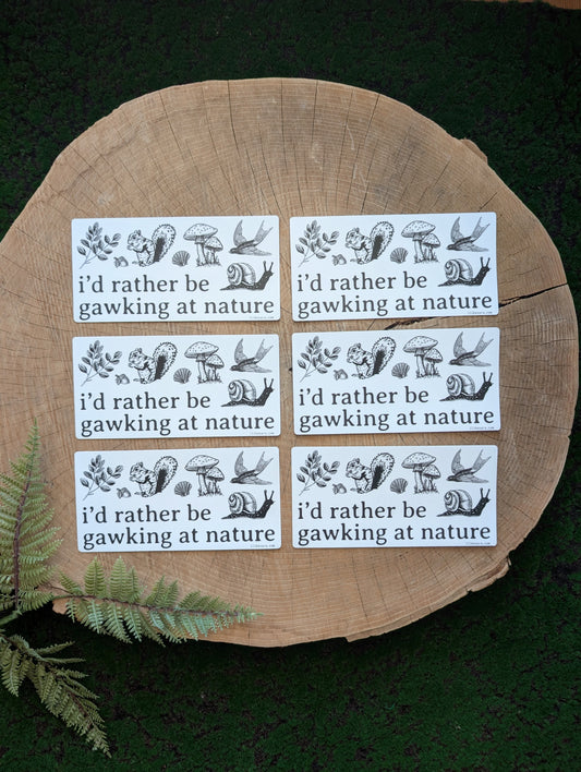 sticker | i'd rather be gawking at nature - waterproof uv-resistant vinyl woodland forest decal