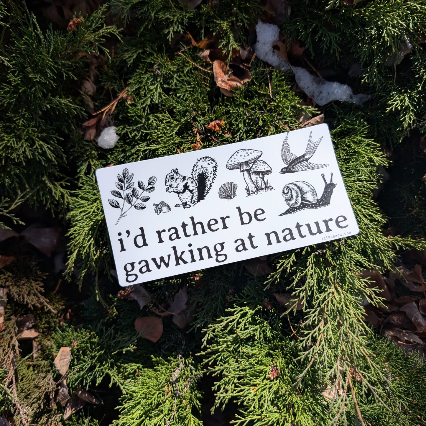 sticker | i'd rather be gawking at nature - waterproof uv-resistant vinyl woodland forest decal