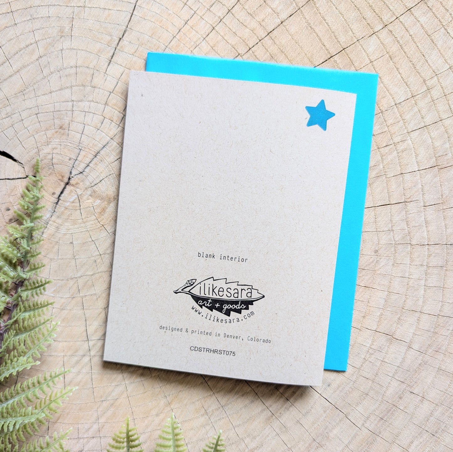 greeting card | star horses anytime card - just because, encouragement with teal envelope