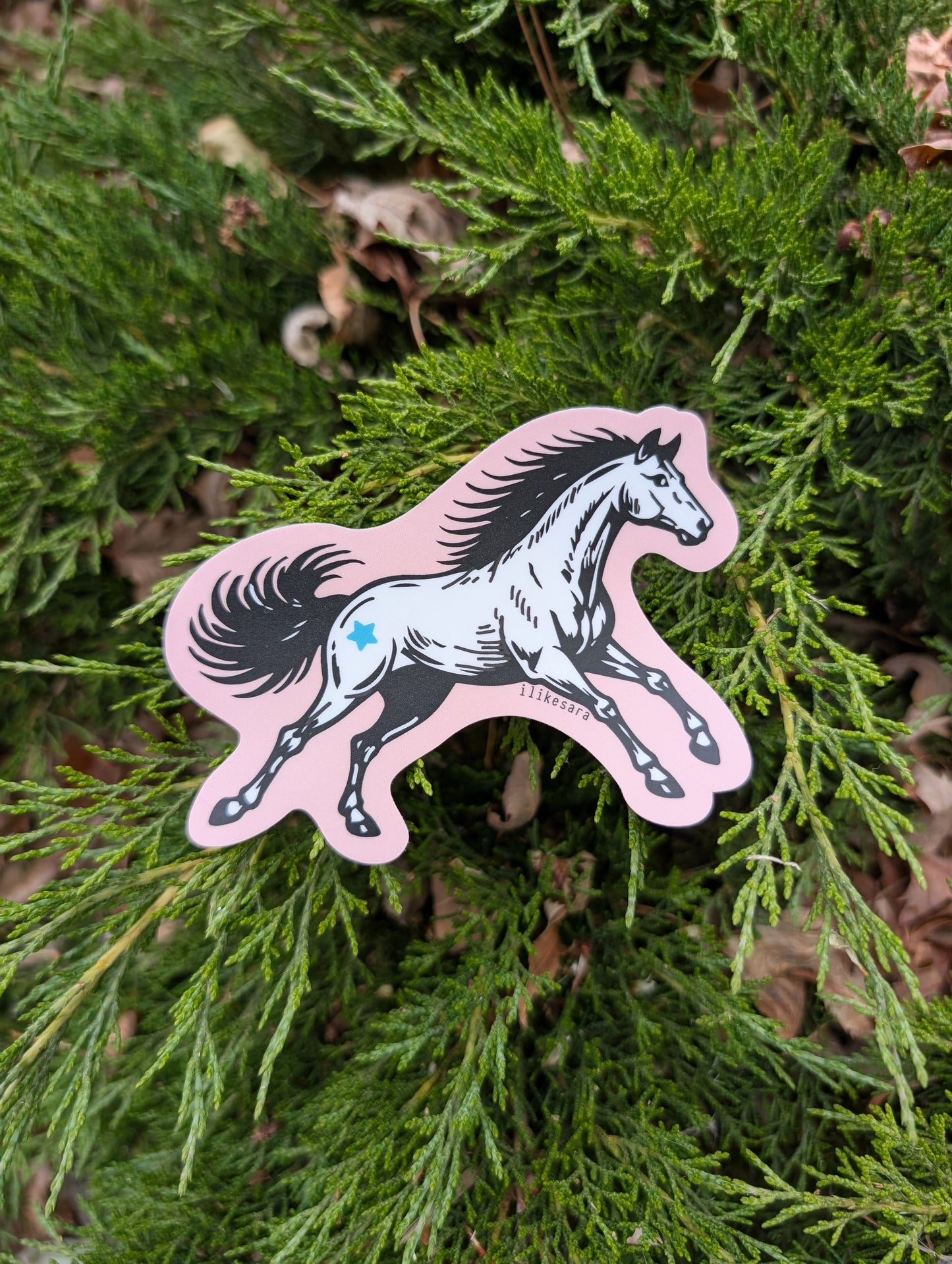 sticker | pink star horse - waterproof uv-resistant vinyl Western pony decal