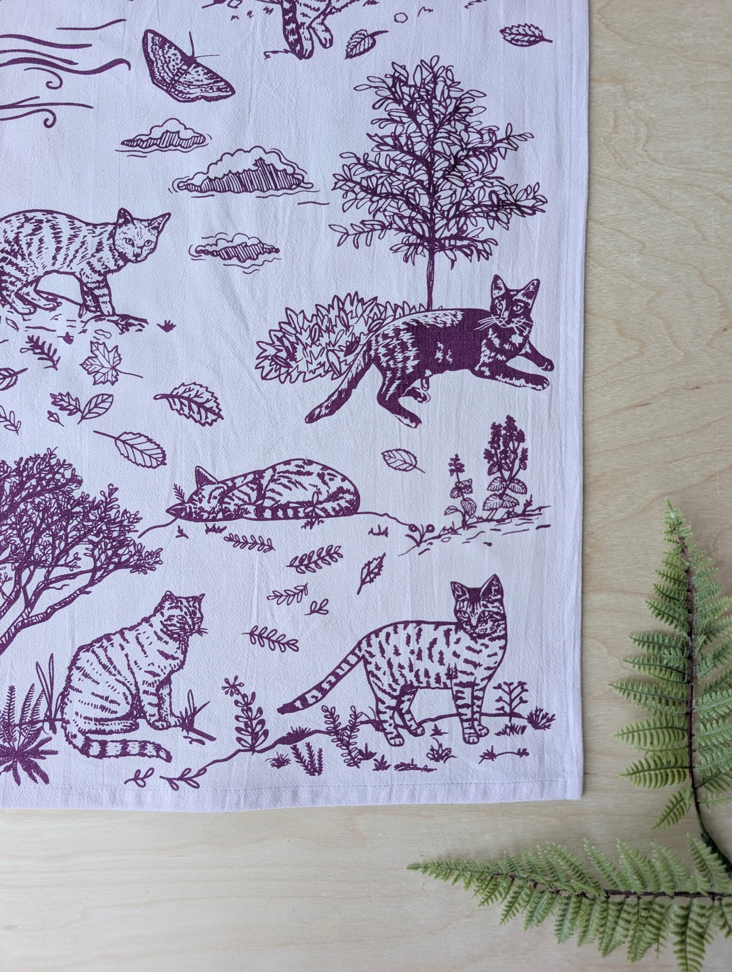 outside cats collection