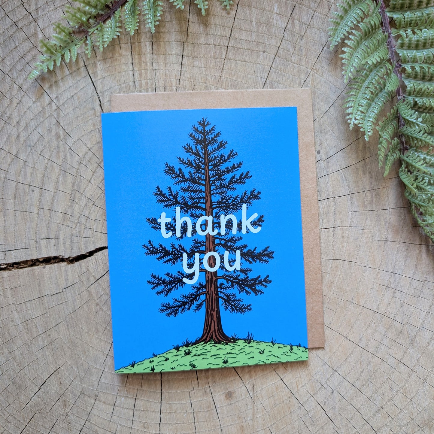 greeting card | thank you Eastern White Pine tree with kraft envelope