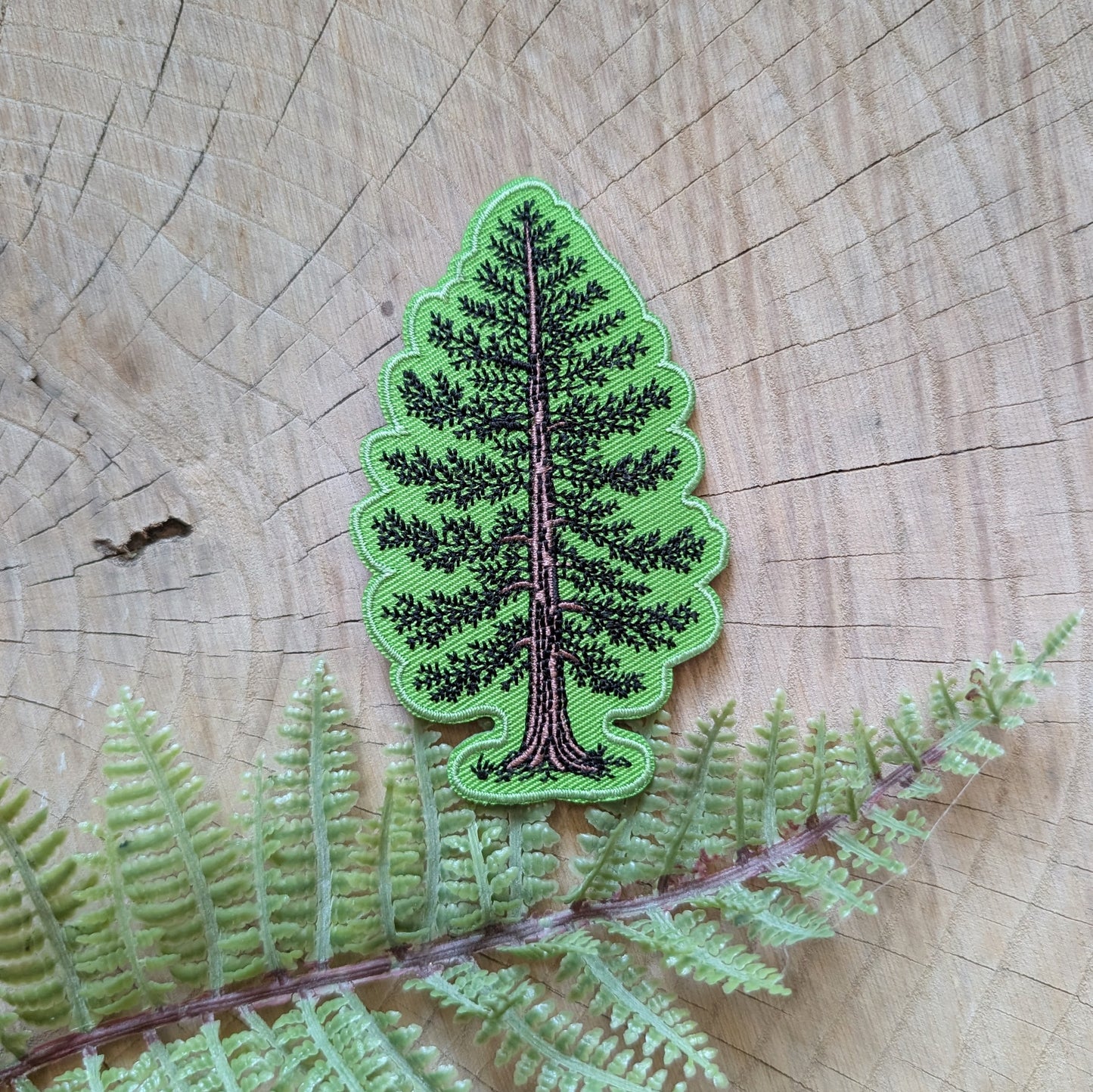 iron-on patch | Eastern White Pine - embroidered tree applique