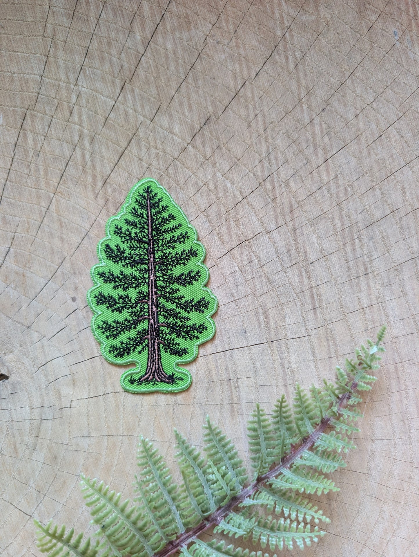 iron-on patch | Eastern White Pine - embroidered tree applique