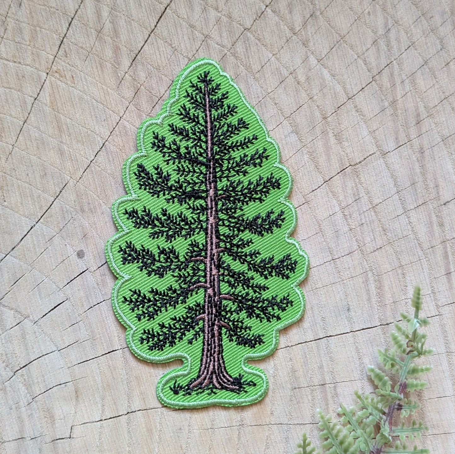 iron-on patch | Eastern White Pine - embroidered tree applique