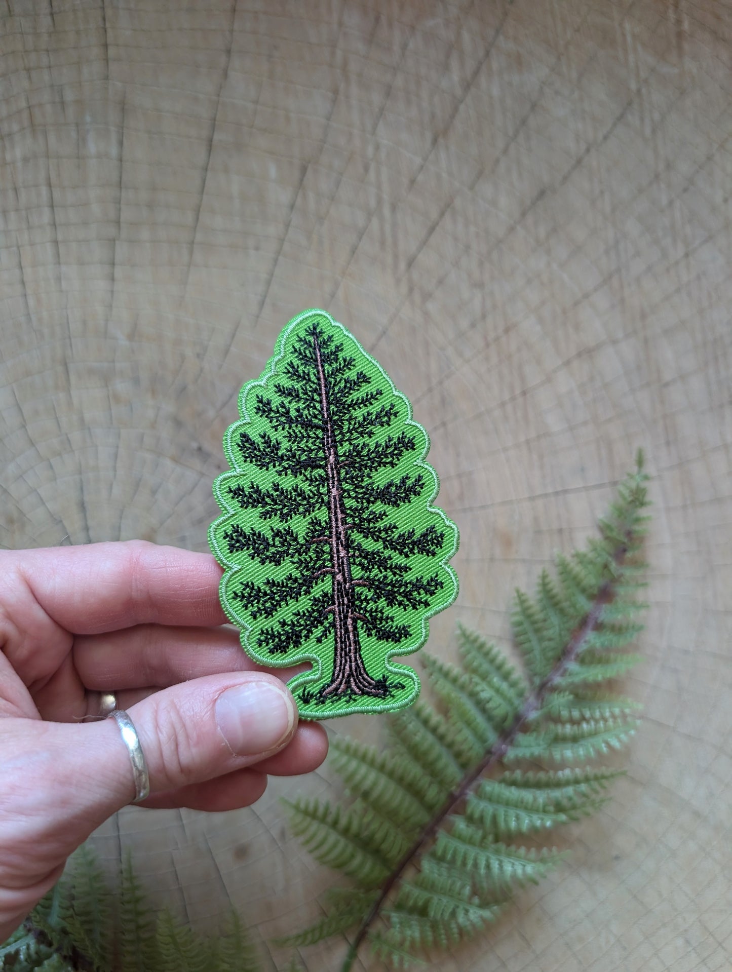 iron-on patch | Eastern White Pine - embroidered tree applique