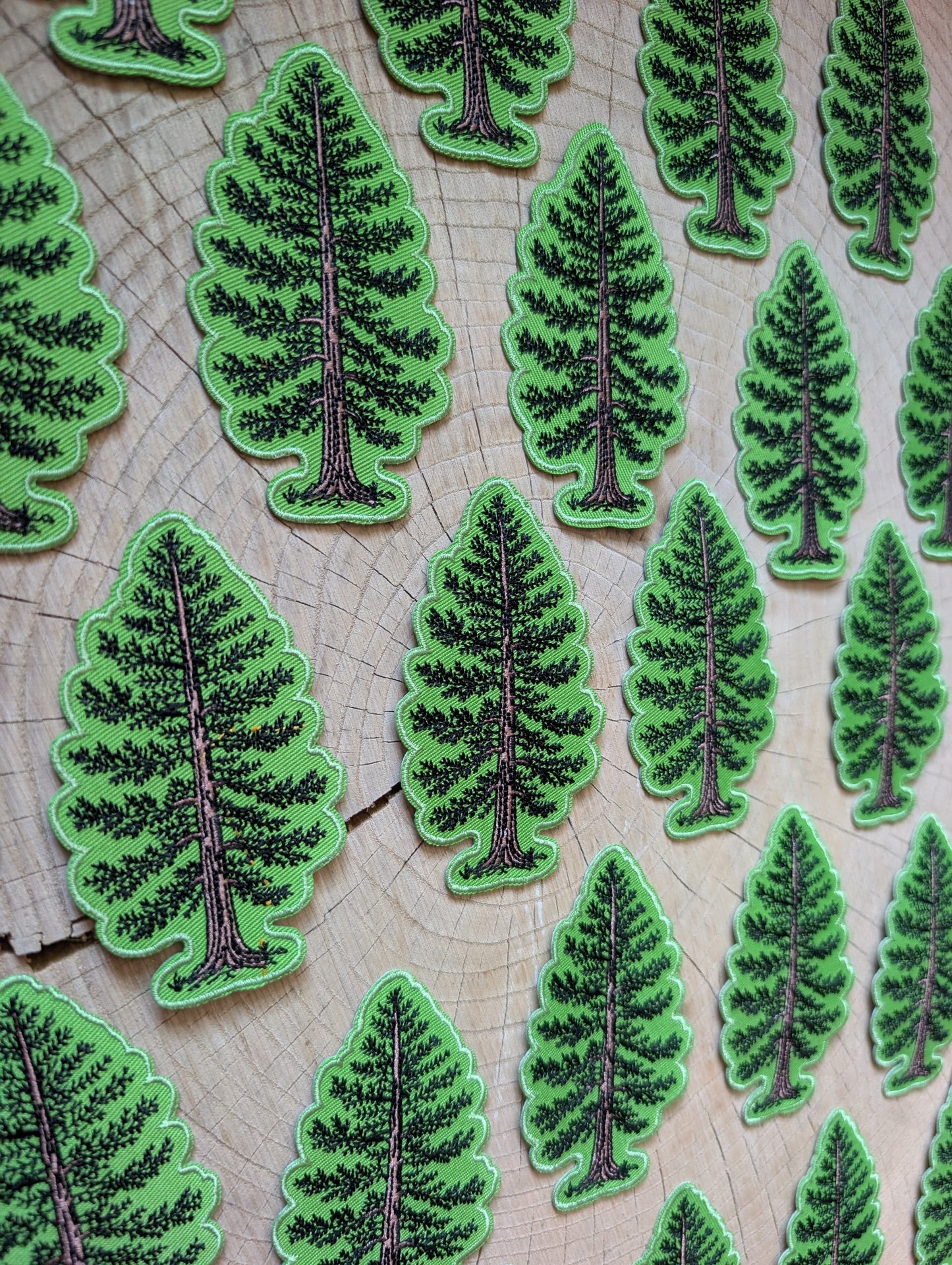 iron-on patch | Eastern White Pine - embroidered tree applique