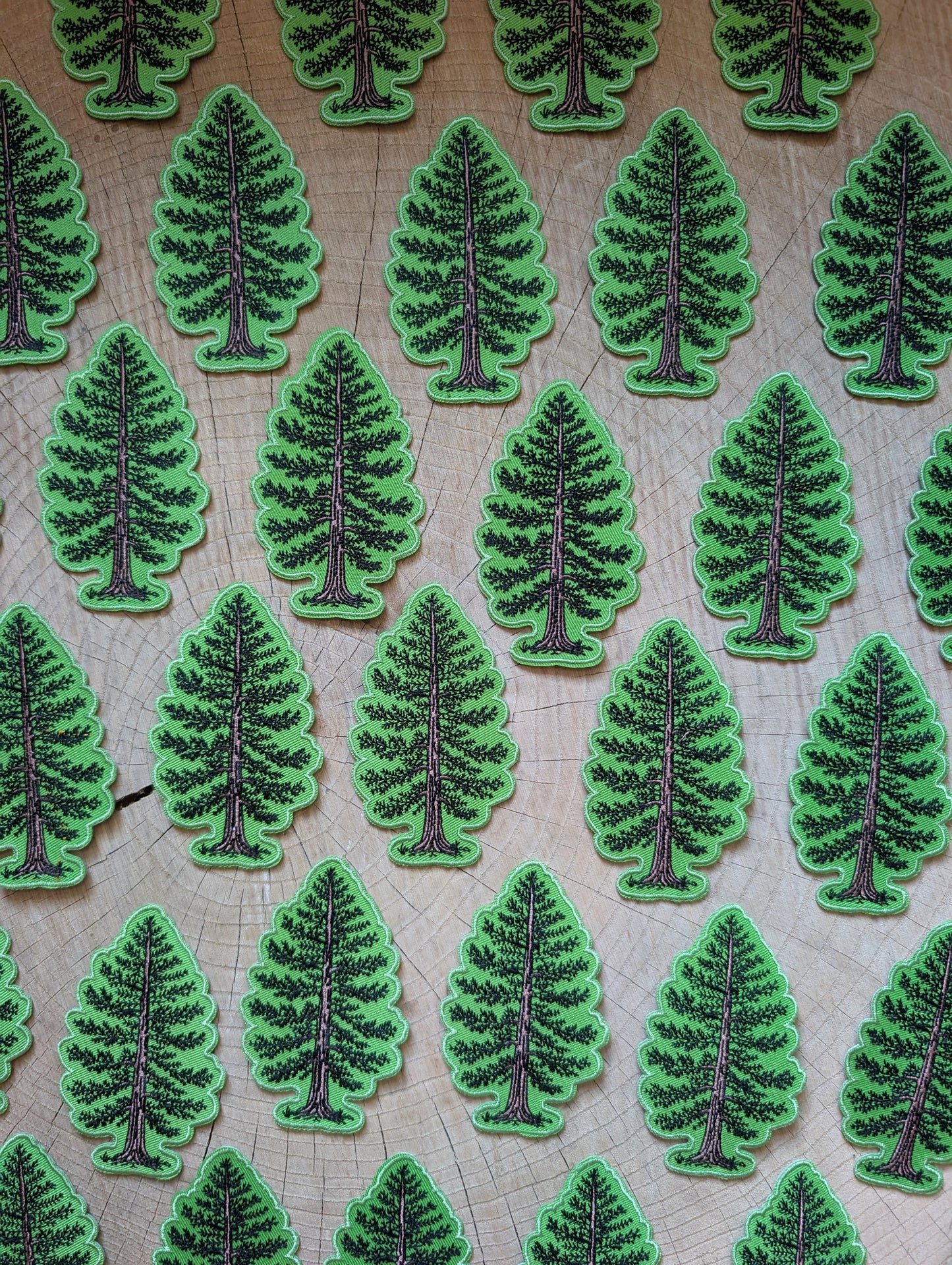 iron-on patch | Eastern White Pine - embroidered tree applique