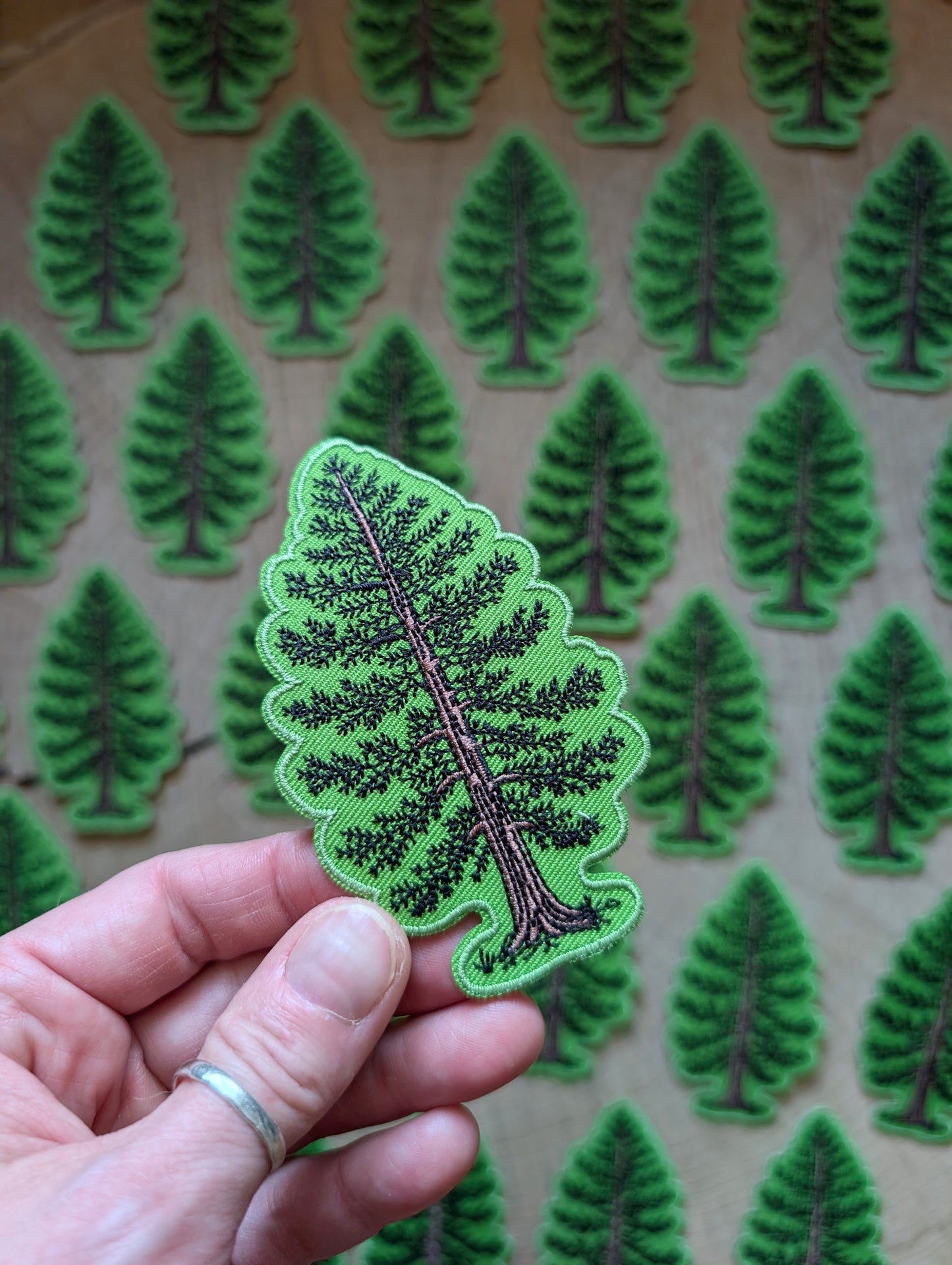 iron-on patch | Eastern White Pine - embroidered tree applique