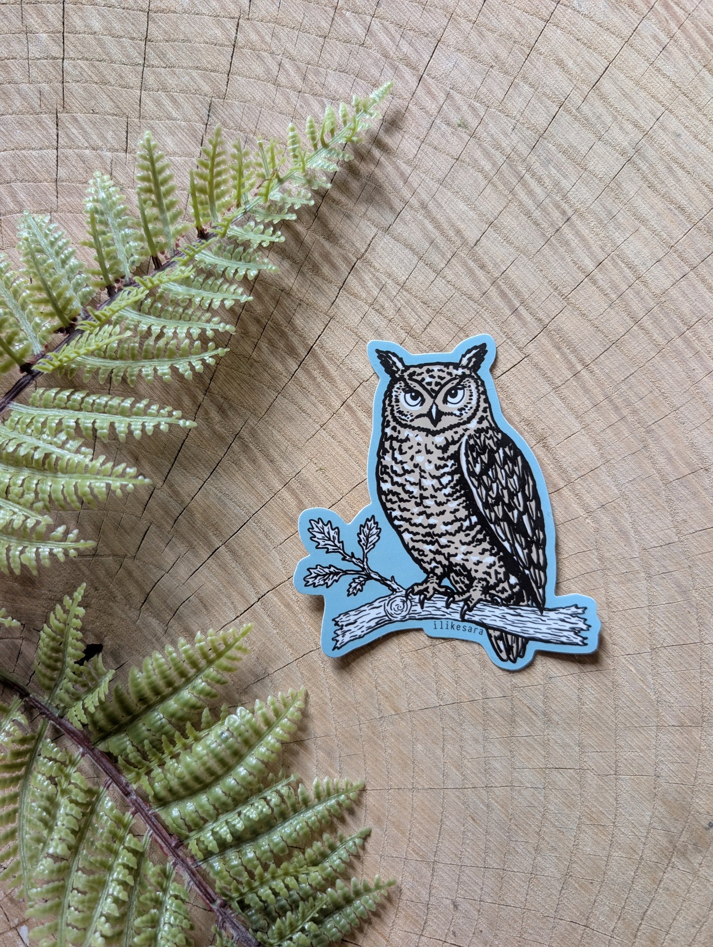 sticker | night owl - waterproof uv-resistant vinyl bird decal