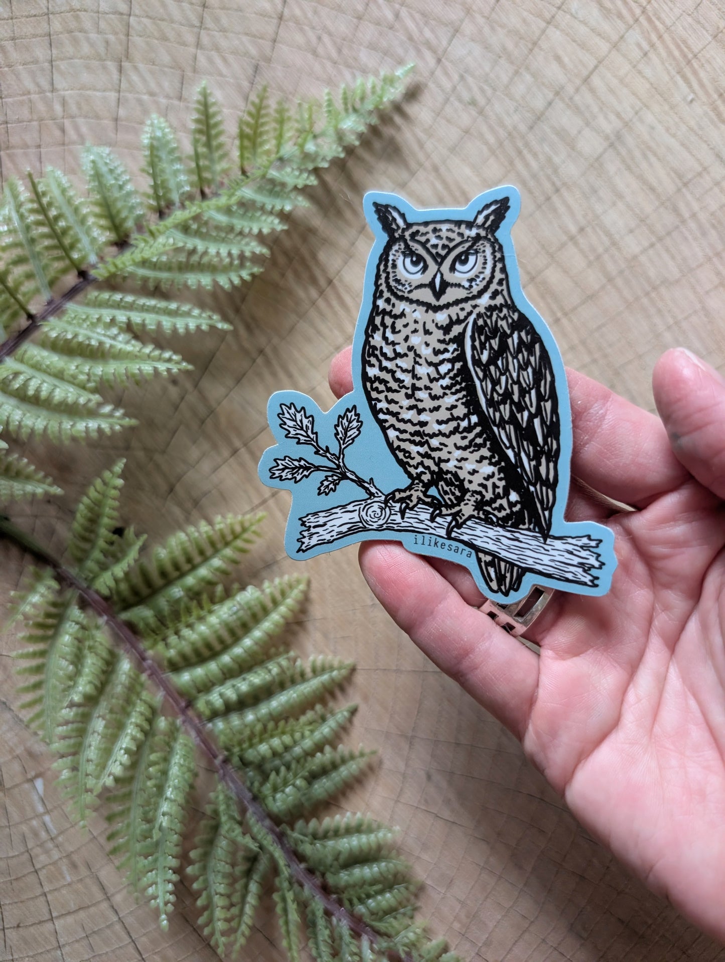 sticker | night owl - waterproof uv-resistant vinyl bird decal