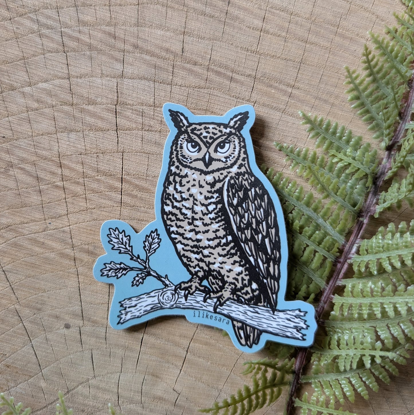 sticker | night owl - waterproof uv-resistant vinyl bird decal
