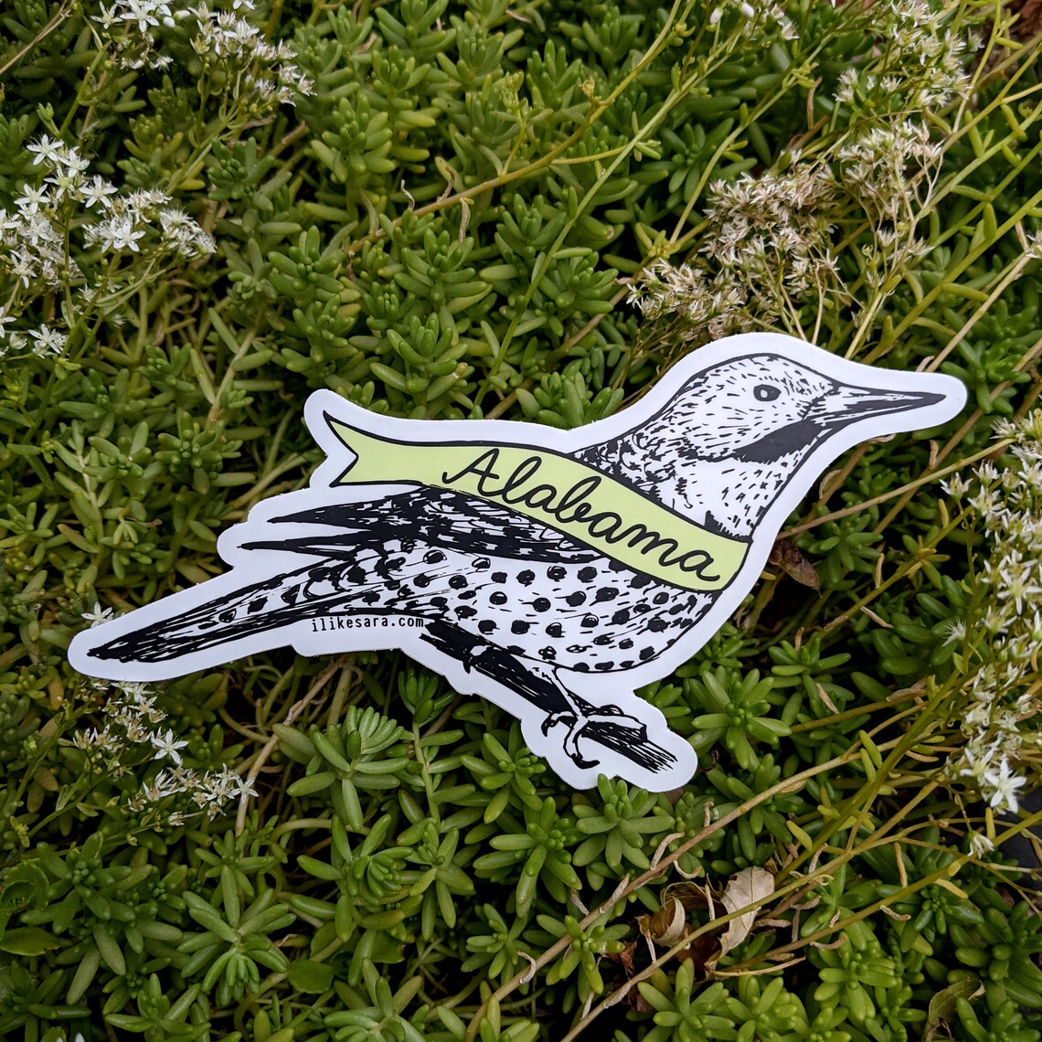 sticker | Alabama bird - waterproof uv-resistant vinyl Northern Flicker decal