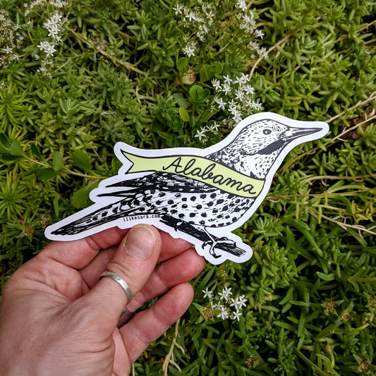 sticker | Alabama bird - waterproof uv-resistant vinyl Northern Flicker decal
