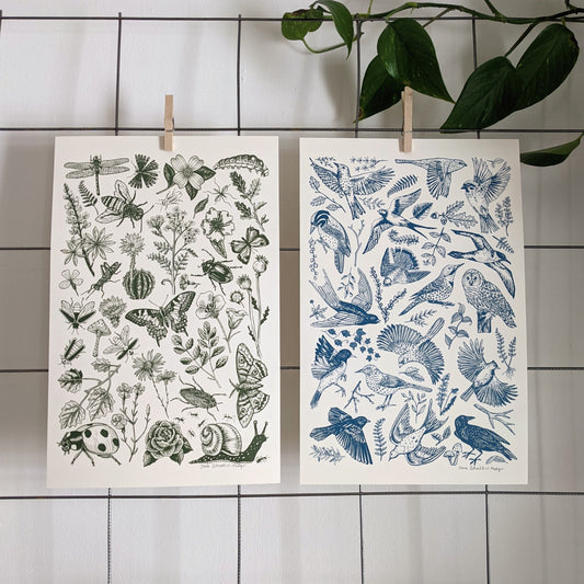 art print | bugs & blooms