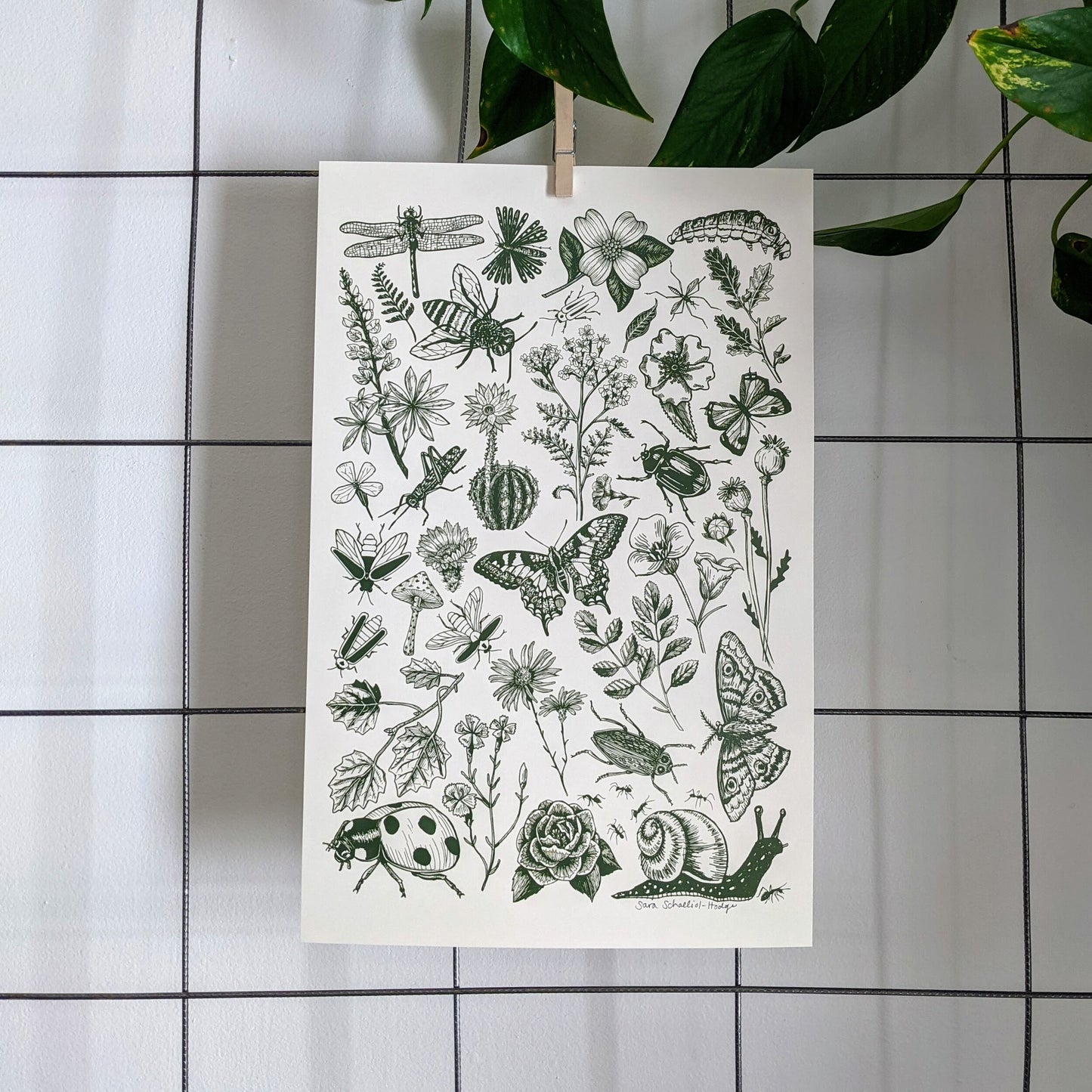 art print | bugs & blooms