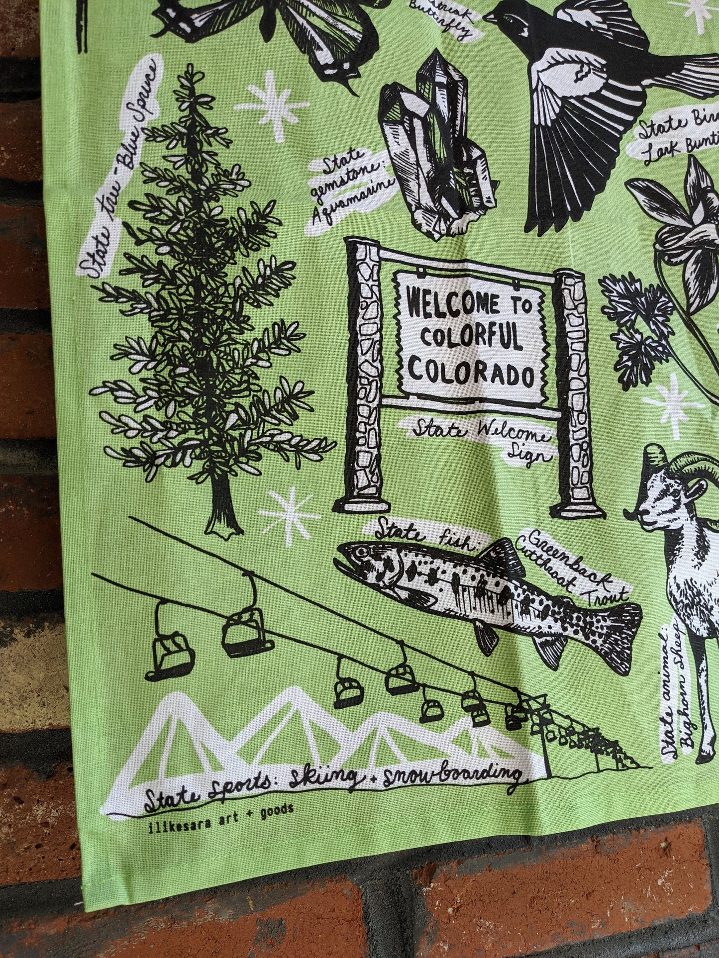 tea towel | Colorado state symbols