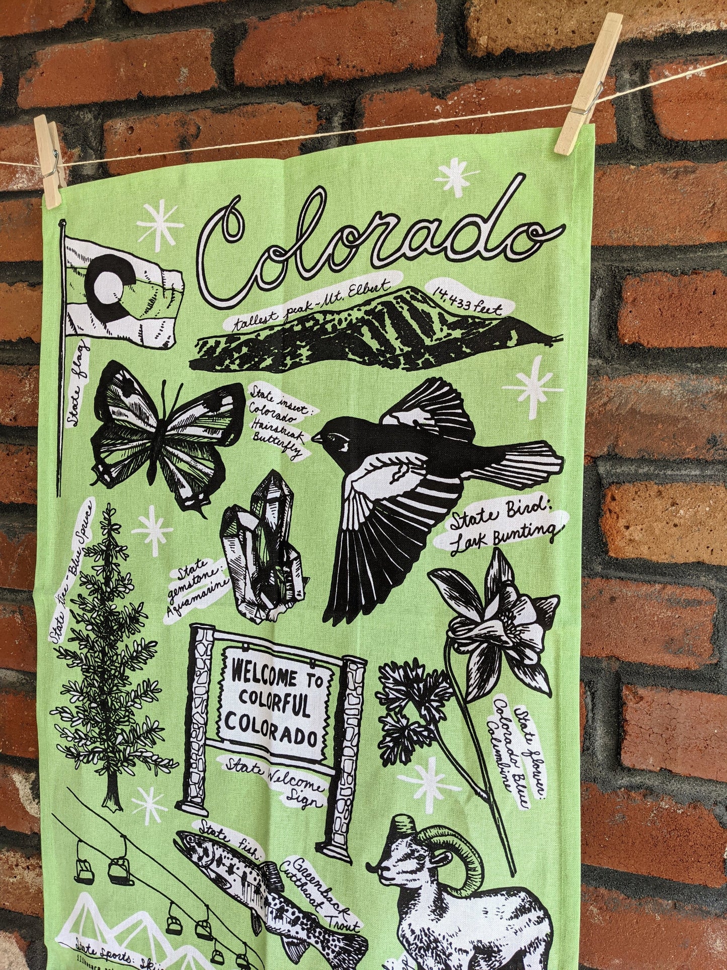 tea towel | Colorado state symbols