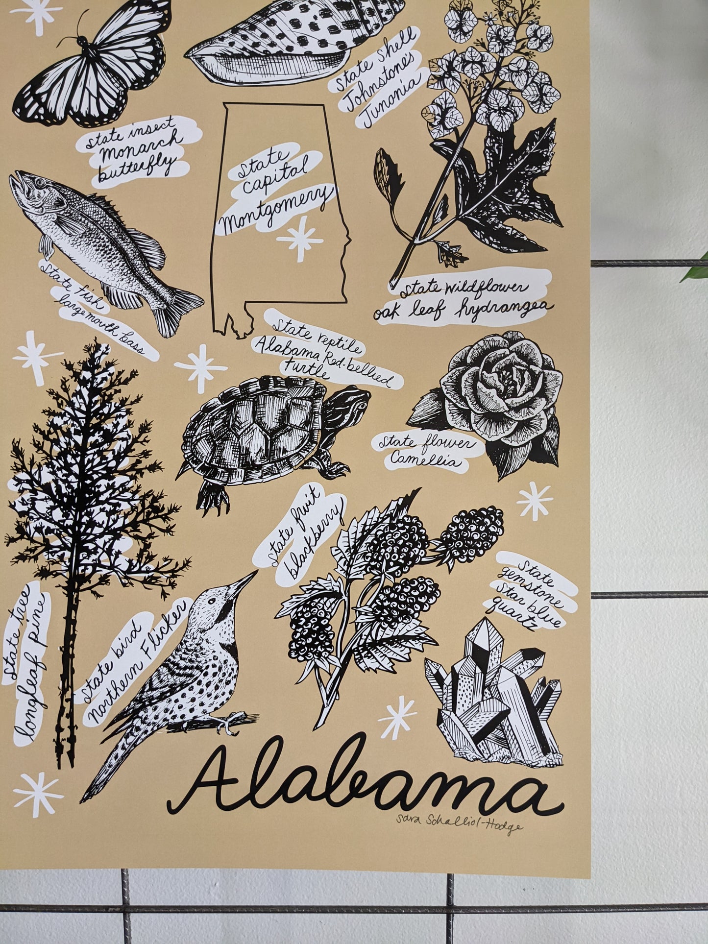 art print | Alabama symbols