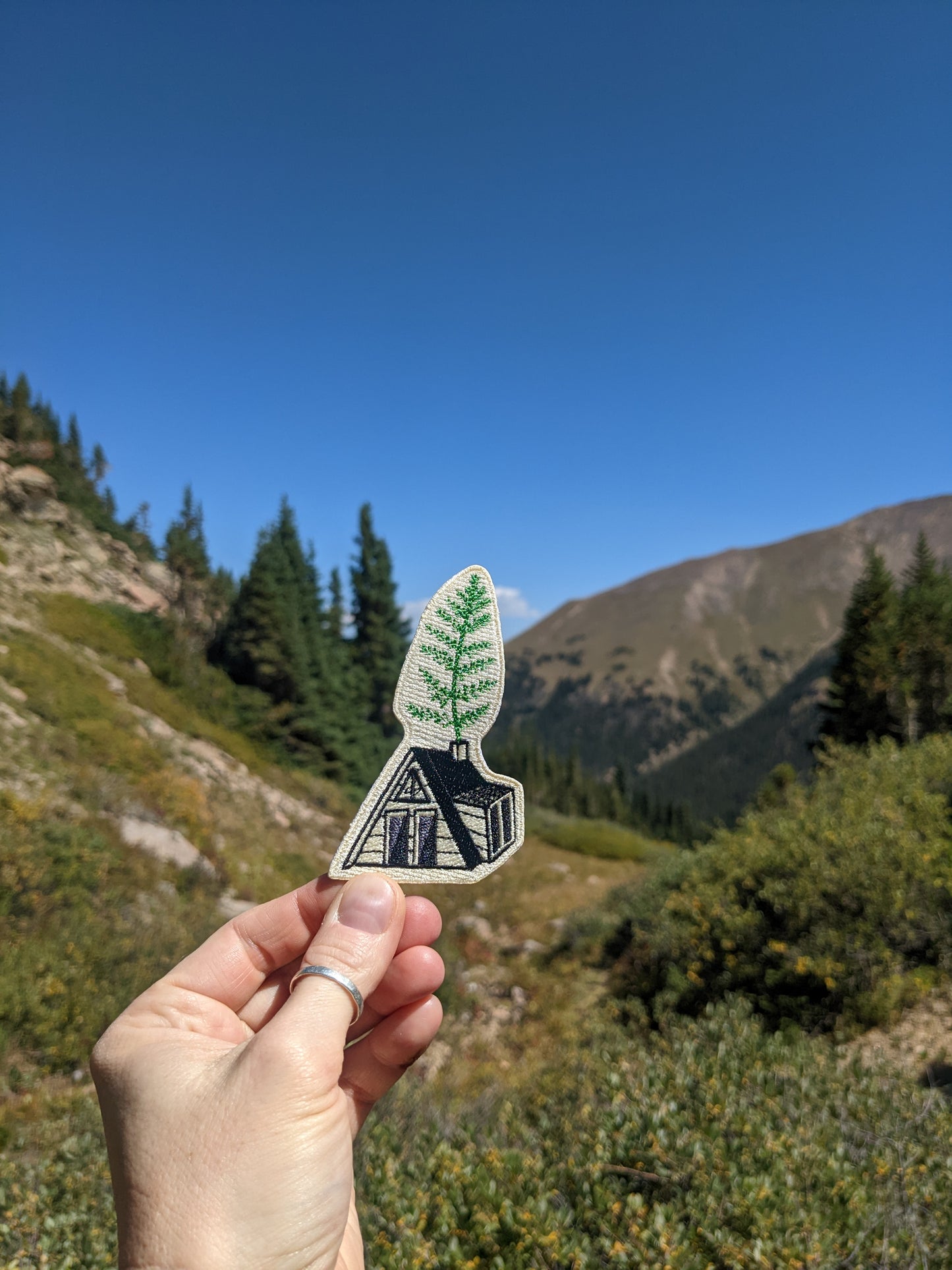 iron-on patch | fern cabin 3.5" x 2.1"