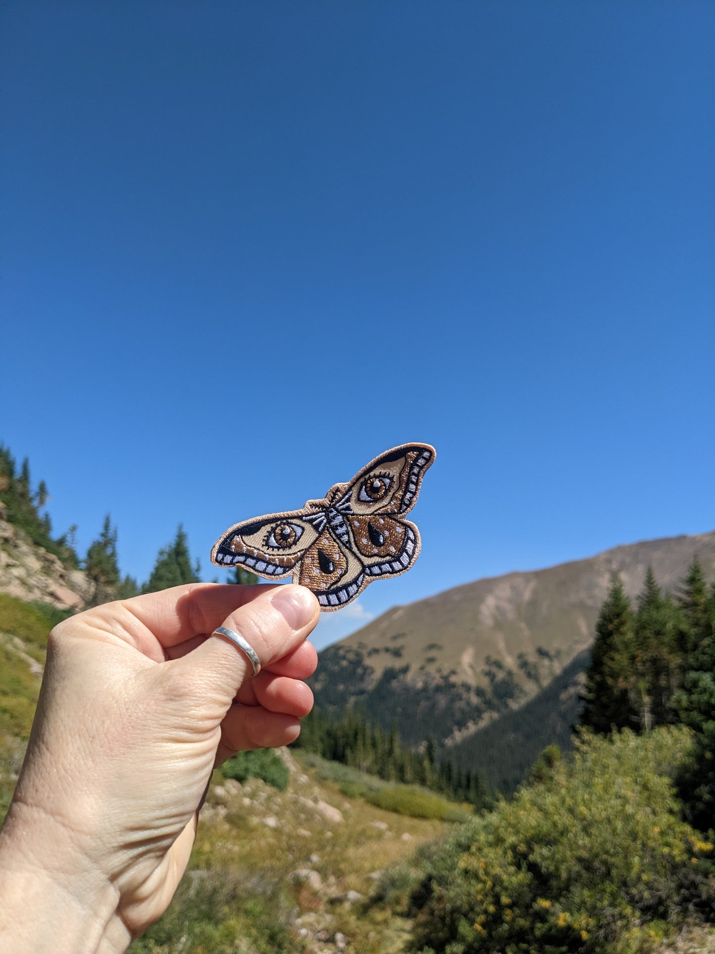iron-on patch | moth - brown 3.4" x 1.6"