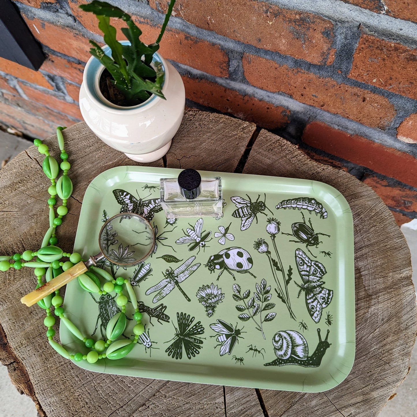 tray | bugs & blooms