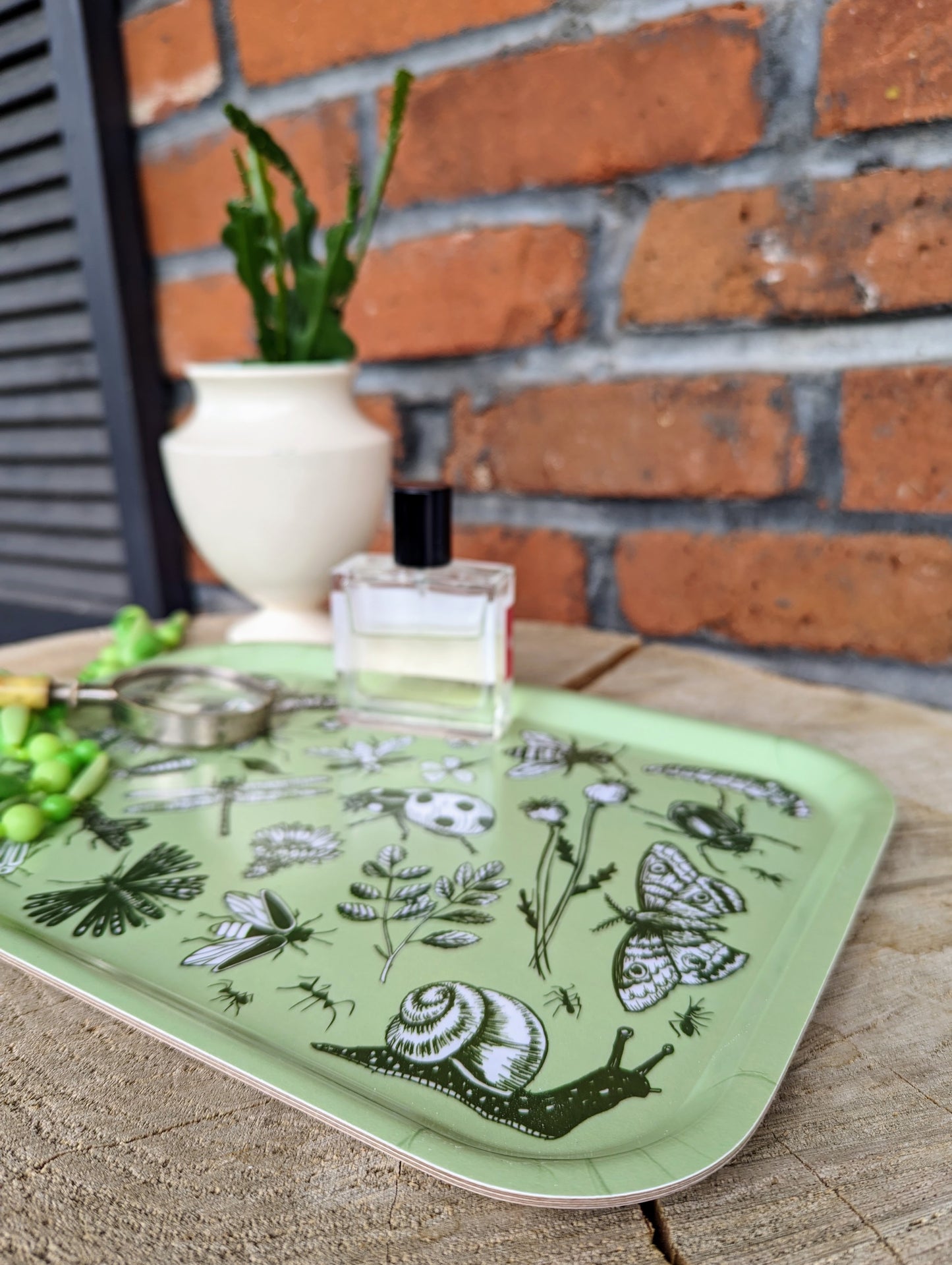 tray | bugs & blooms