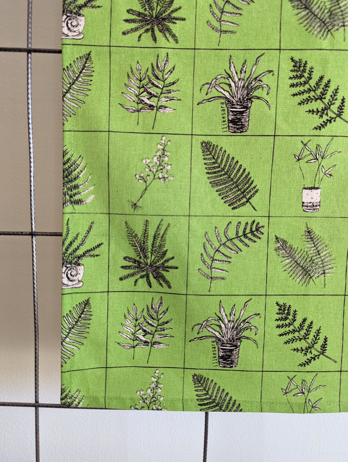 tea towel | fern specimen
