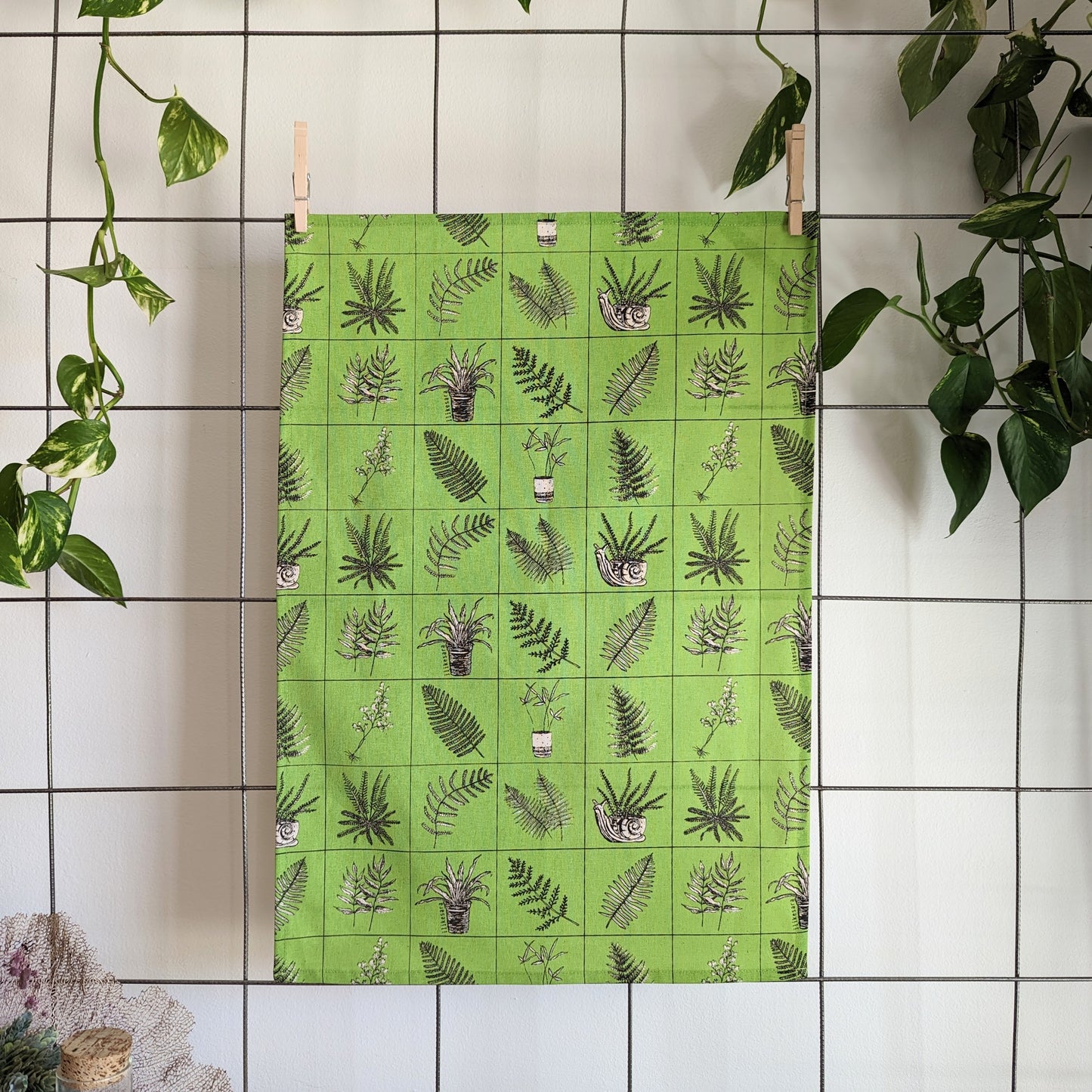 tea towel | fern specimen