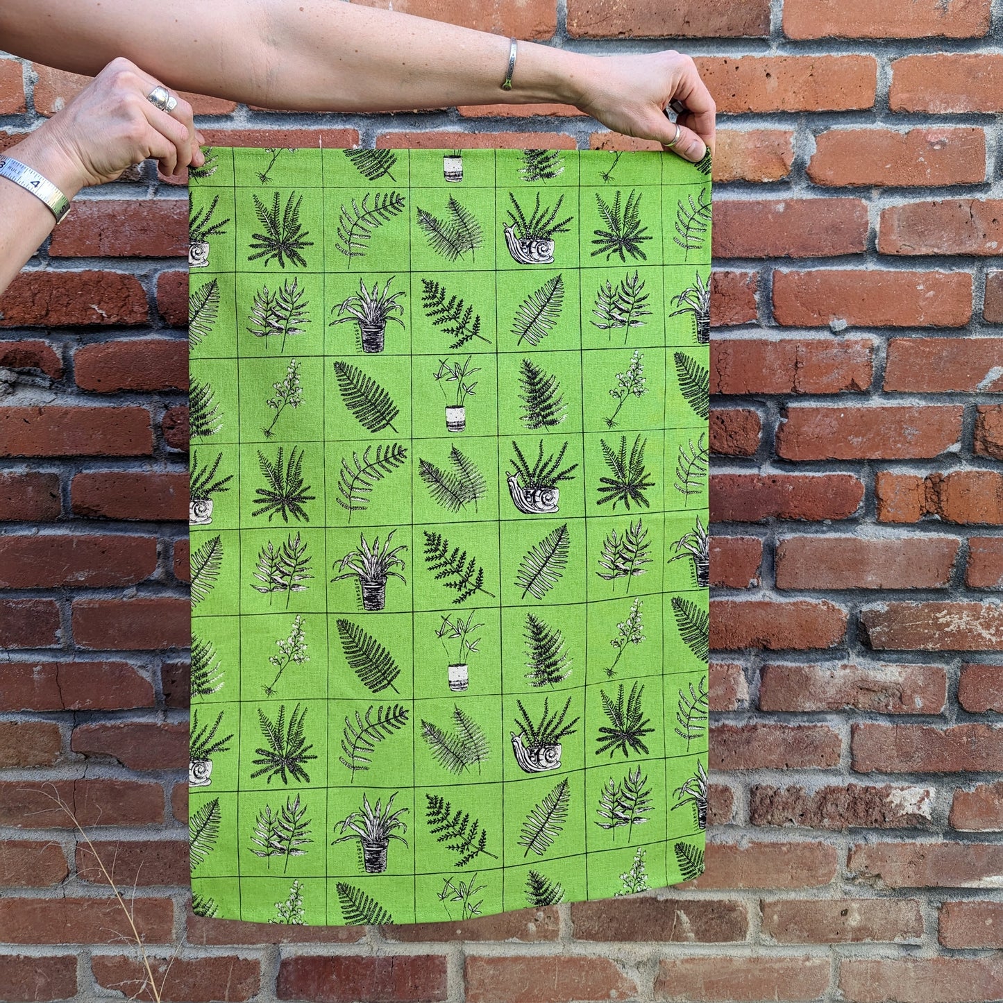 tea towel | fern specimen