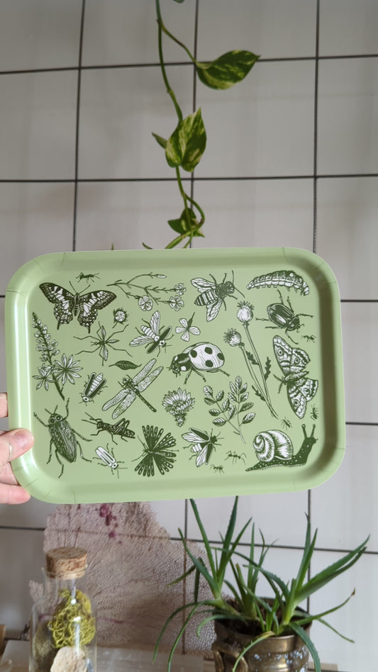 tray | bugs & blooms