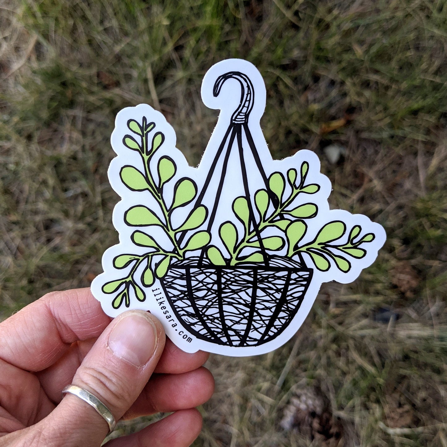 sticker | hanging houseplant waterproof uv-resistant vinyl plant decal