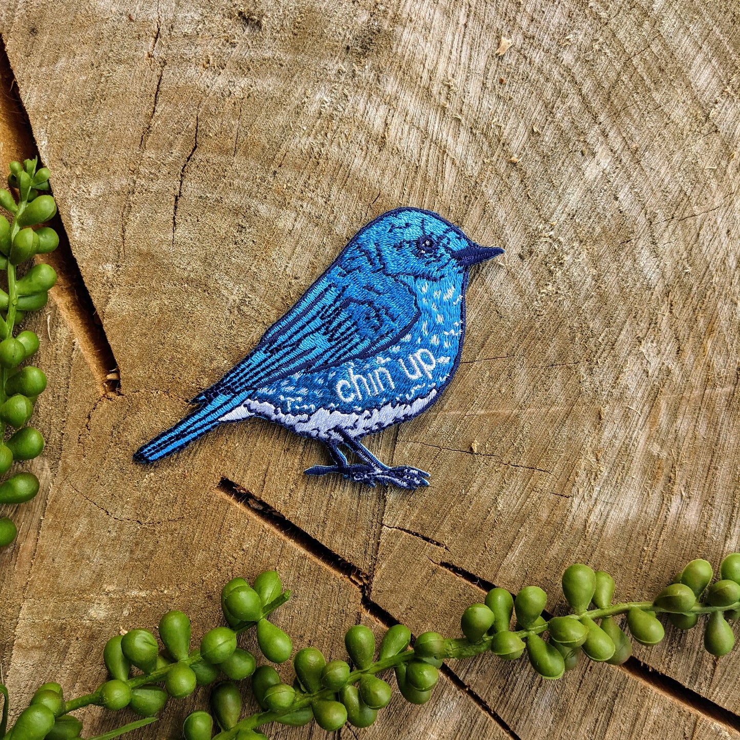 patch | chin up bluebird
