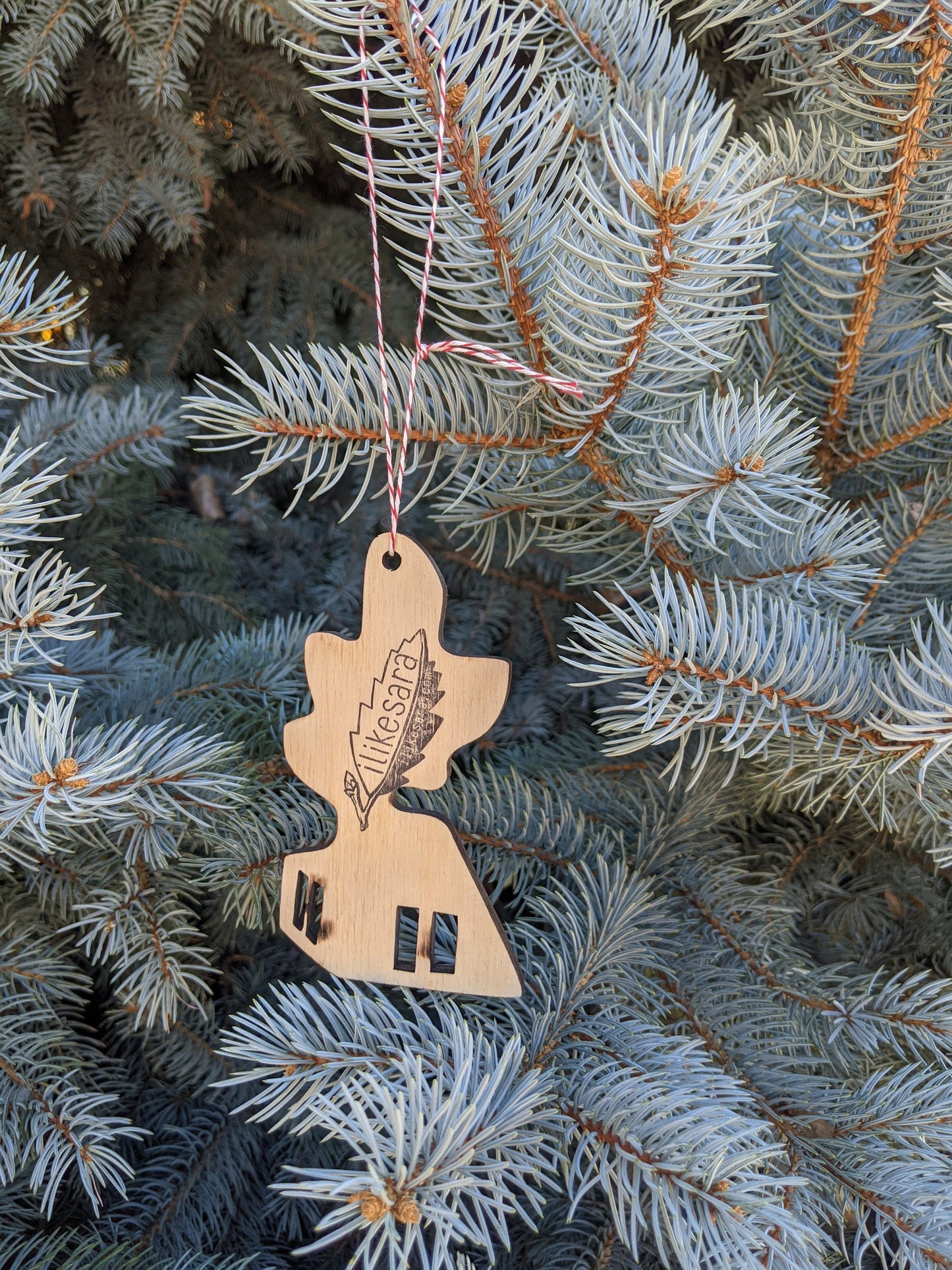 ornament | cabin