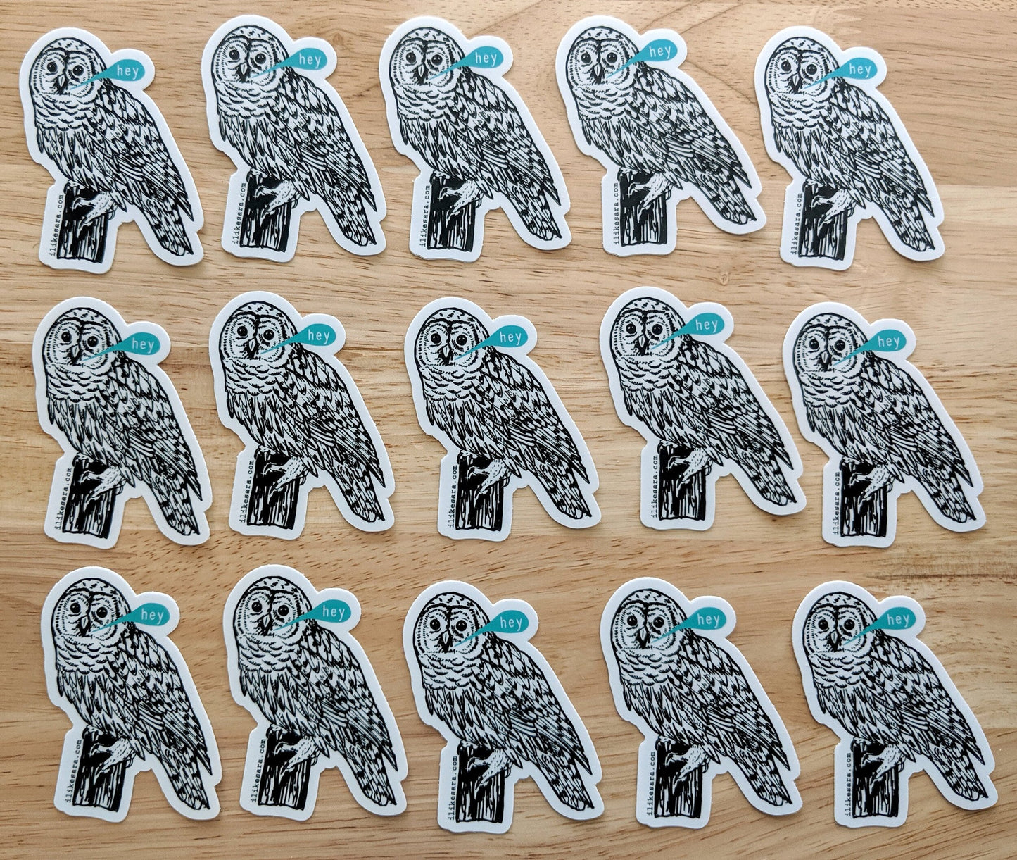 sticker | hey owl - waterproof uv-resistant vinyl bird decal