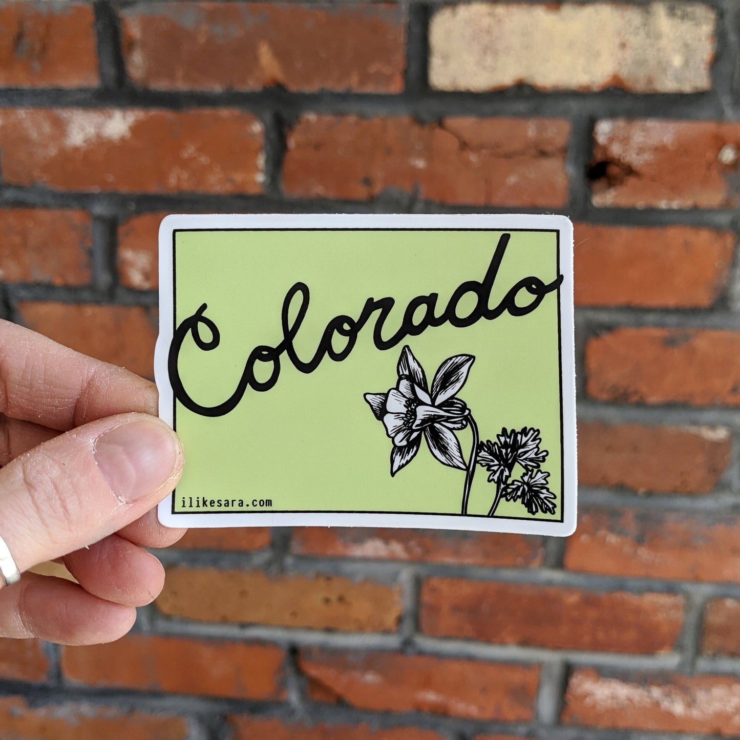 sticker | colorado state columbine - waterproof uv-resistant vinyl state flower decal