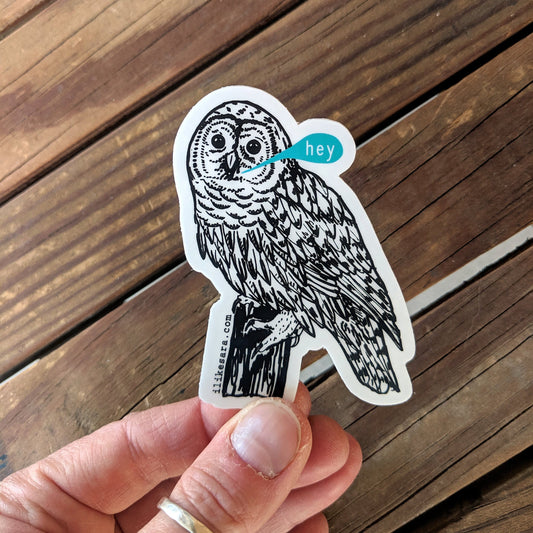 sticker | hey owl - waterproof uv-resistant vinyl bird decal